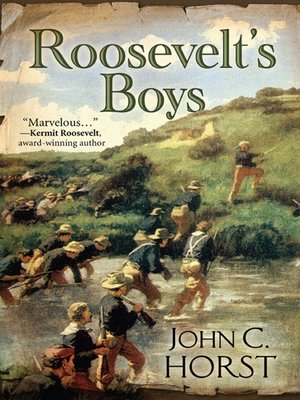 cover image of Roosevelt's Boys